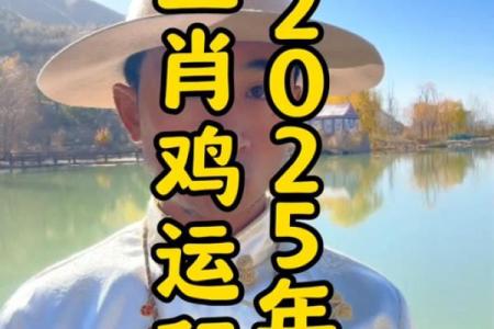 属鸡2025年多少岁 属龙的2025年多少周岁