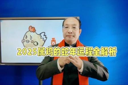 属鸡在2025蛇年的运气_属鸡2025的特大贵人