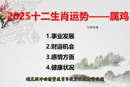 81属鸡人在2025年的运程 81属鸡在2023年怎么样