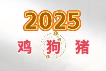 2025属鸡的运势和财运1981年_属鸡2025的特大贵人