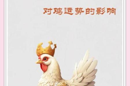 2025属鸡1993年的全年运势_2025年属鸡1993年出生者全年运势详解