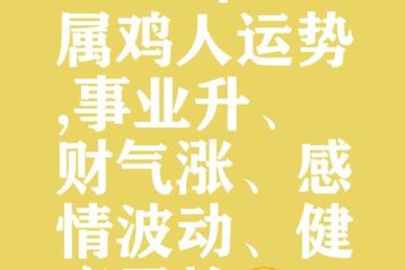 2025年属鸡的幸运数字和颜色 2025属鸡的运势和财运