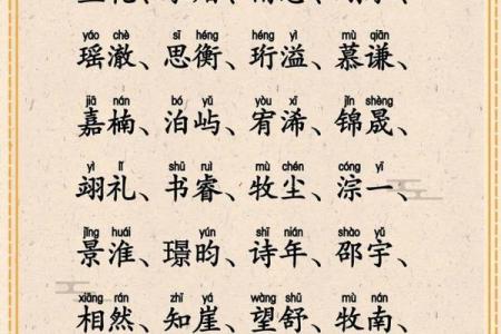 2019年6月29号丑时出生的男孩要怎么起名字姓名