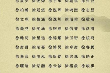 2019年出生的姓孙男孩如何起名，宜用什么字姓名