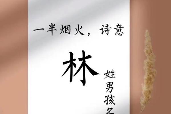 林姓男孩名字大全-林姓男孩起名字大全-林姓名字大全姓名 林姓男孩名字大全-林姓男孩起名字大全-林姓名字大全姓名