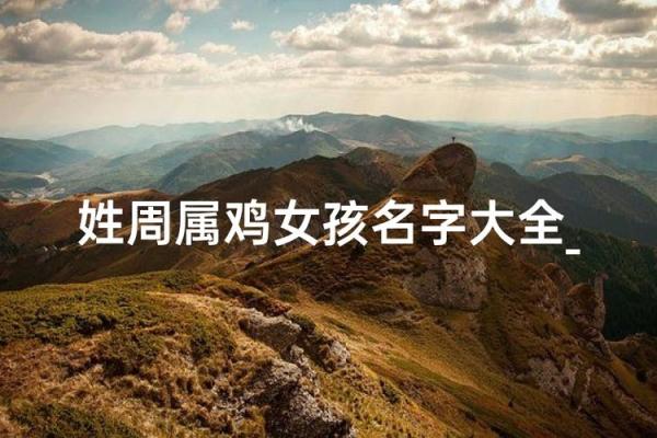 晚上出生的属鸡男孩应该怎么取名字合适姓名