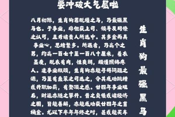 五月份出生的属狗男孩应该如何取名字姓名 五月份出生的属狗男孩应该如何取名字姓名