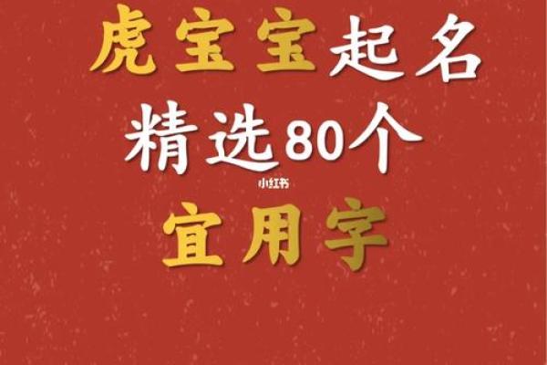 晚上11点出生的属虎男孩如何起名,应用什么字姓名 晚上11点出生的属虎男孩如何起名,应用什么字姓名