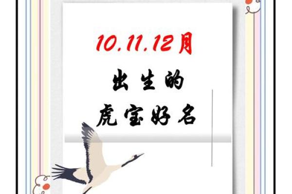 12月份出生的属虎男孩如何取名字姓名 12月份出生的属虎男孩如何取名字姓名