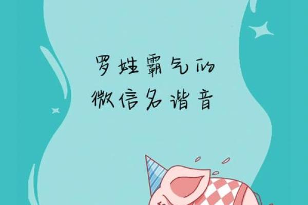 罗姓女孩名字大全-罗姓女孩起名字大全-罗姓名字大全姓名 罗姓女孩名字大全-罗姓女孩起名字大全-罗姓名字大全姓名