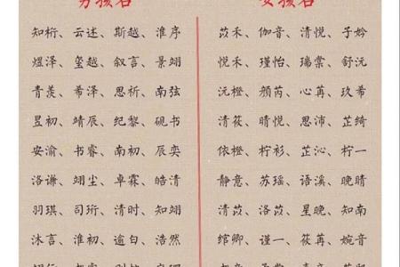 2019年3月20号卯时出生的男孩起名方法姓名