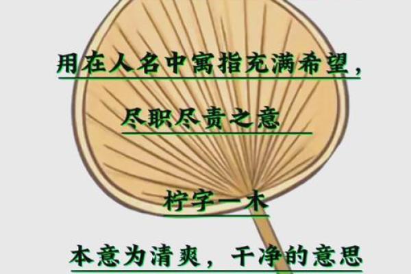 纪姓女孩名字大全-纪姓女孩起名字大全-纪姓名字大全姓名 纪姓女孩名字大全-纪姓女孩起名字大全-纪姓名字大全姓名