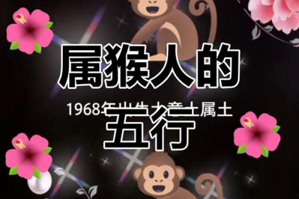 凌晨2点出生的属猴男孩应该如何起名字姓名 凌晨2点出生的属猴男孩应该如何起名字姓名