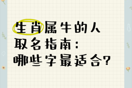 早上7点出生的属牛男孩怎么样取名字，适合用什么字姓名