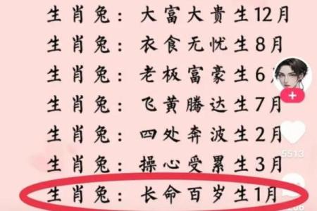 傍晚出生属兔的男孩应该怎么样取名字呢姓名
