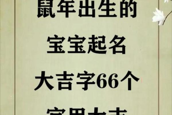 怎么样给晚上10点出生的属鼠男孩起名姓名