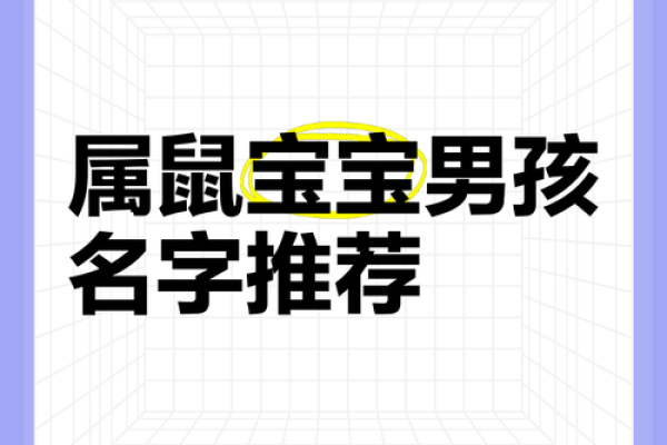 怎么样给晚上10点出生的属鼠男孩起名姓名