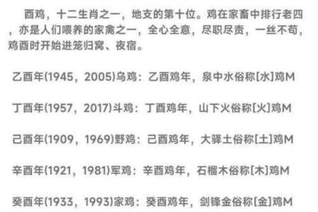 属鸡午时出生的男孩该怎样起名，适合用什么字姓名