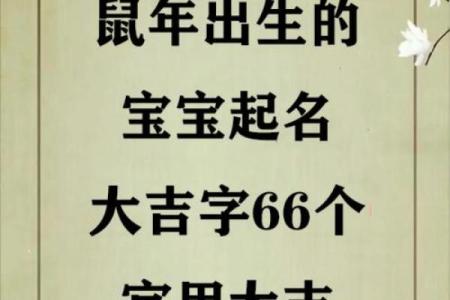 怎么样给晚上10点出生的属鼠男孩起名姓名