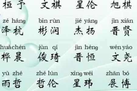 2019年3月11号子时出生的男孩要怎么起名字姓名