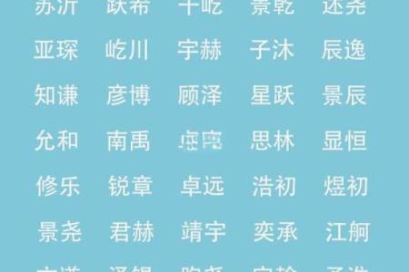 属鼠丑时的男孩应该怎样取名字，宜用哪些字姓名