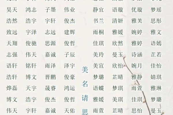 2019年5月18号子时出生的男孩起名时要注意什么姓名