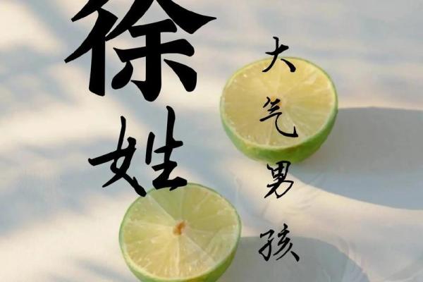 2019年出生的姓徐男孩如何起名，宜用什么字姓名