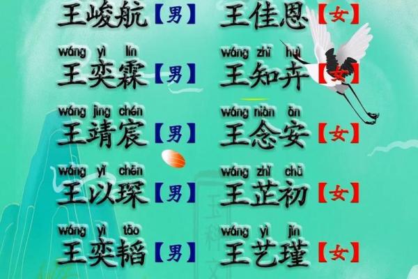 早上7点出生的属兔男孩如何取名姓名