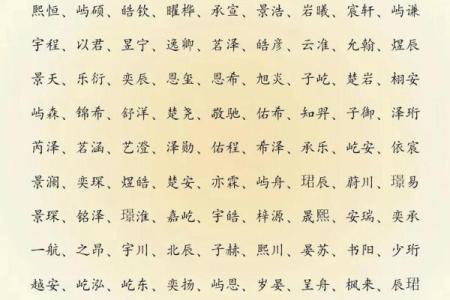 2019年6月15号寅时出生的男孩起名时要注意什么姓名