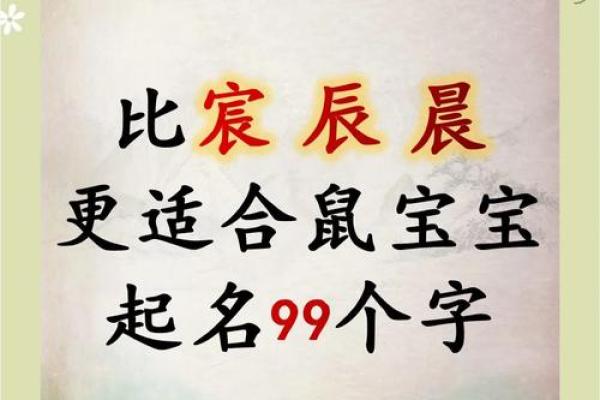 怎么给傍晚出生的属鼠男孩取名字姓名 怎么给傍晚出生的属鼠男孩取名字姓名
