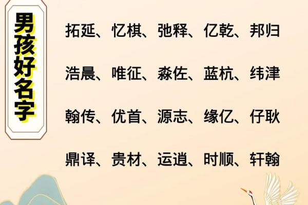 2019年3月19号辛时出生的男孩起名时要注意什么姓名