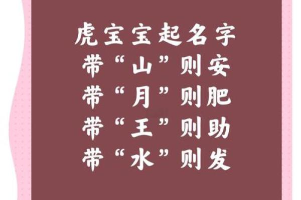 晚上1点出生的属虎男孩如何起名，用什么字姓名