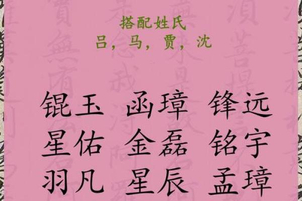 2019年3月22号辛时出生的男孩应该起什么样的名字姓名