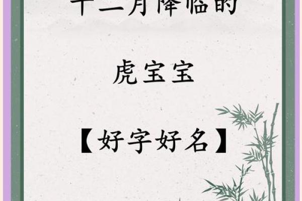 凌晨3点出生的属虎男孩起什么名，用什么字姓名