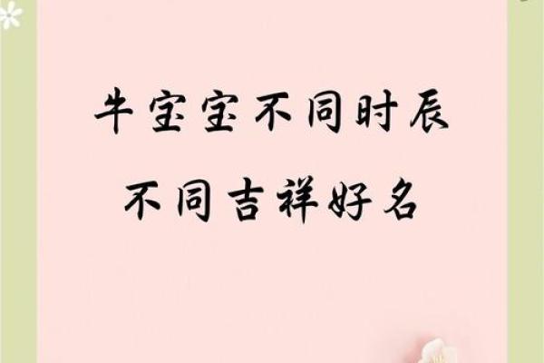 要如何给凌晨3点出生的属牛男孩取名字姓名 要如何给凌晨3点出生的属牛男孩取名字姓名