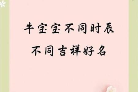 要如何给凌晨3点出生的属牛男孩取名字姓名