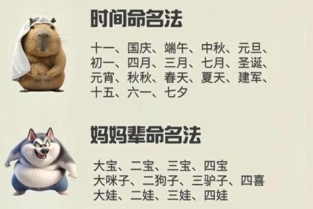 如何给属狗午时出生的男孩起名字，宜用什么字姓名