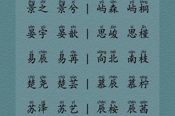 2019年3月28号午时出生的男孩起名方法姓名