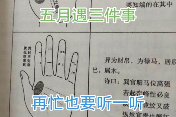 10月份出生的属猴男孩要怎样去取名字-姓名 10月份出生的属猴男孩要怎样去取名字-姓名