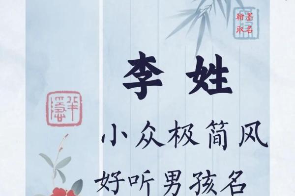 李姓男孩名字大全-李姓男孩起名字大全-李姓名字大全姓名