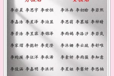 李姓男孩名字大全-李姓男孩起名字大全-李姓名字大全姓名