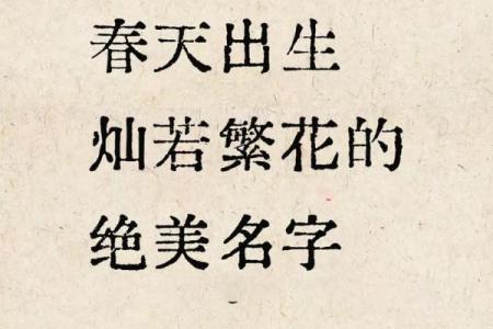 2019年3月25号未时出生的男孩起名方法姓名