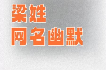 梁姓男孩名字大全-梁姓男孩起名字大全-梁姓名字大全姓名