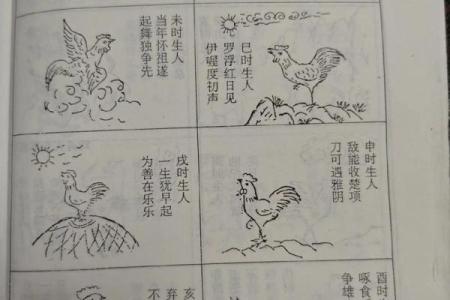 2月份出生的属鸡男孩起什么名字好姓名