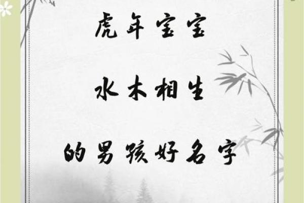 2019年4月11号寅时出生的男孩起名方法姓名