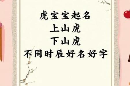 凌晨2点出生的属虎男孩如何起名，宜用什么字姓名