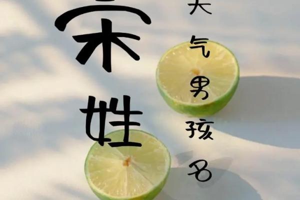 宋姓男孩名字大全-宋姓男孩起名字大全-宋姓名字大全姓名