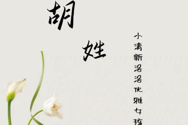 2019年出生的姓胡男孩如何起名,宜用什么字姓名 2019年出生的姓胡男孩如何起名,宜用什么字姓名