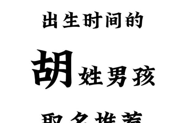 2019年出生的姓胡男孩如何起名,宜用什么字姓名 2019年出生的姓胡男孩如何起名,宜用什么字姓名