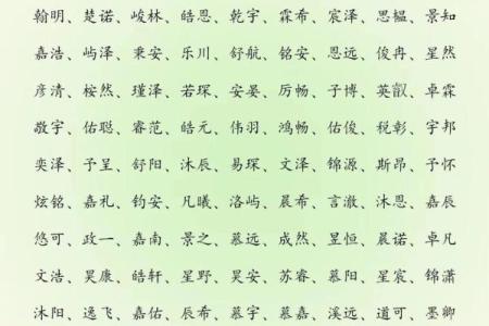 傍晚6点出生的属蛇男孩要如何起名才能使气运增加姓名